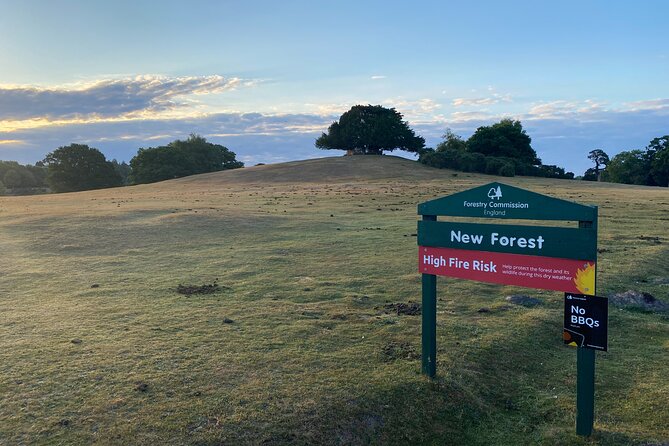 Small-Group New Forest Discovery Walk From Lyndhurst - Experience Highlights