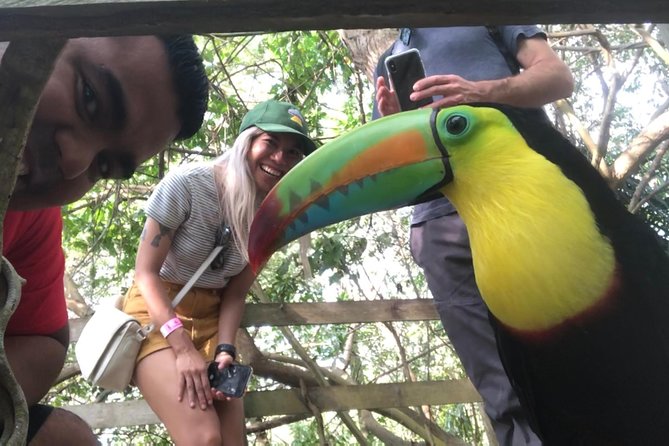 Small Group Tour to the Aviary From Cartagena - Inclusions and Amenities