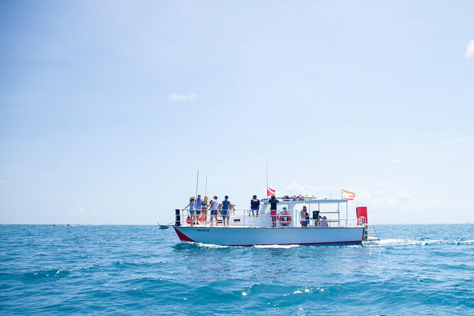 Snorkel to a Locals Secret Spot | Private Charter - Whats Included in Your Trip