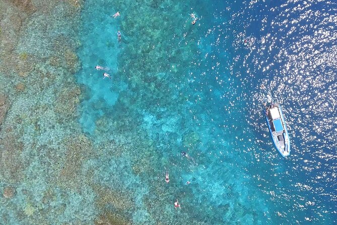Snorkel Tour to Captain Cook Monument Kailua-Kona, Big Island - Safety Guidelines