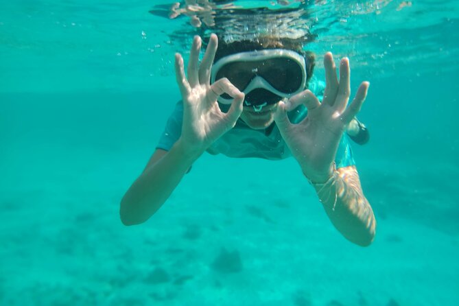 Snorkeling and Grilling Fresh Fish at Donkey Beach - Whats Included in the Tour