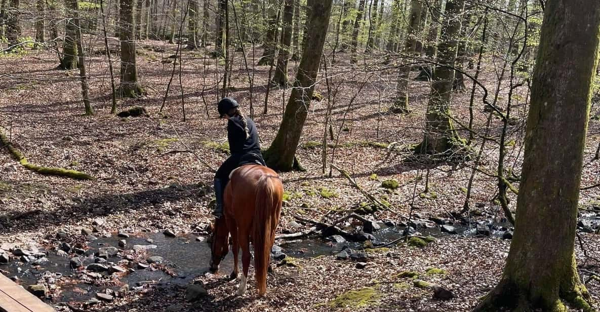 Söderåsen National Park: 2.5h Horseback Ride - Itinerary Highlights