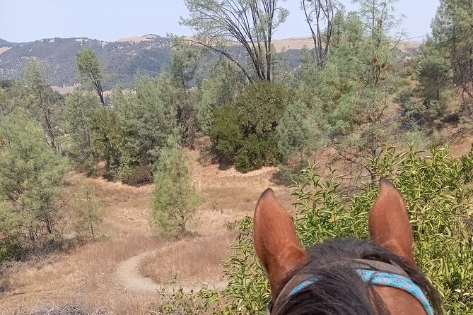 Sonoma Horseback-Riding Tour - Scenic Highlights