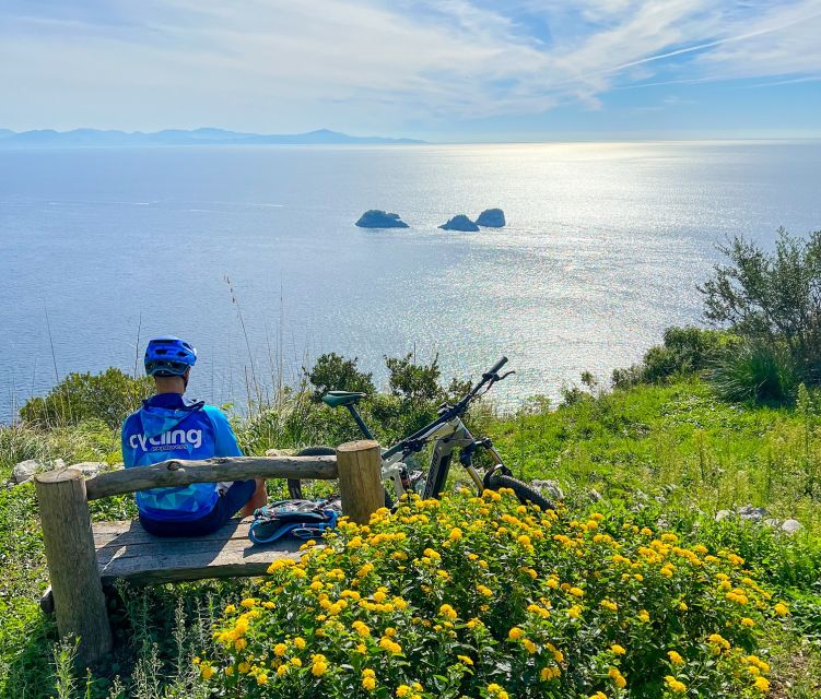 Sorrento: E-Bike Oil & Lemon Tour With Tasting - Itinerary and Experience