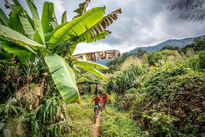 Stairway to Heaven Trail Mountain Biking Tour Chiang Mai - Inclusions and Equipment