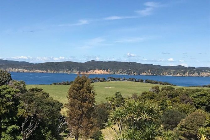 Stunning Auckland East Coast Walk & Wine Private Tour - Whats Included