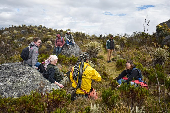 Sumapaz Páramo Private Hike Tour With Lunch - Whats Included in the Experience