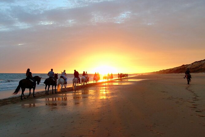 Sunset Beach Horseback Riding - Pricing Information