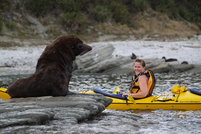 Sunset Evening Kayaking Tour - Kaikoura - Meeting and Departure Information