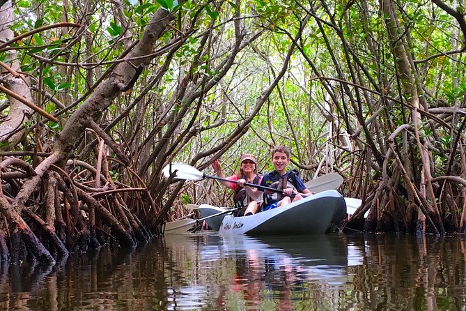 Sunset Tour Mangrove, Dolphins, Manatee #1 Rated in Cocoa Beach - Equipment Provided