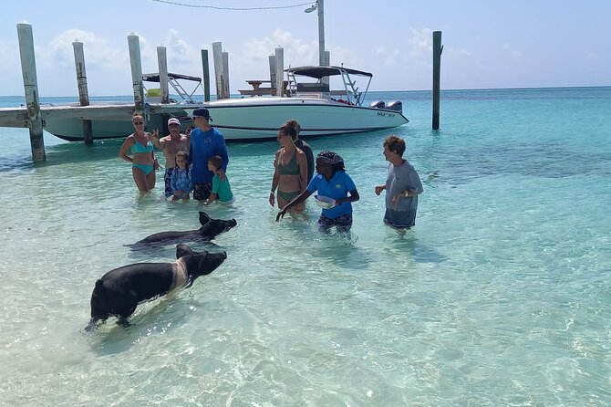 Swimming Pigs Island Turtles and Snorkeling Excursion 4 Stops - Meeting and End Points