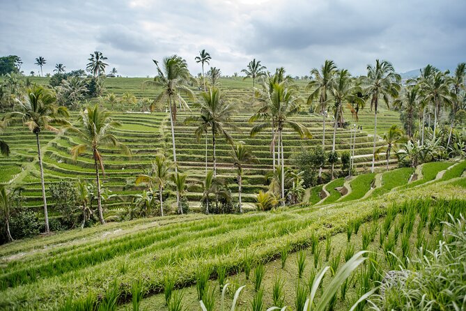 Tanah Lot & UNESCO Heritage Small Group Tour - Tour Schedule and Details