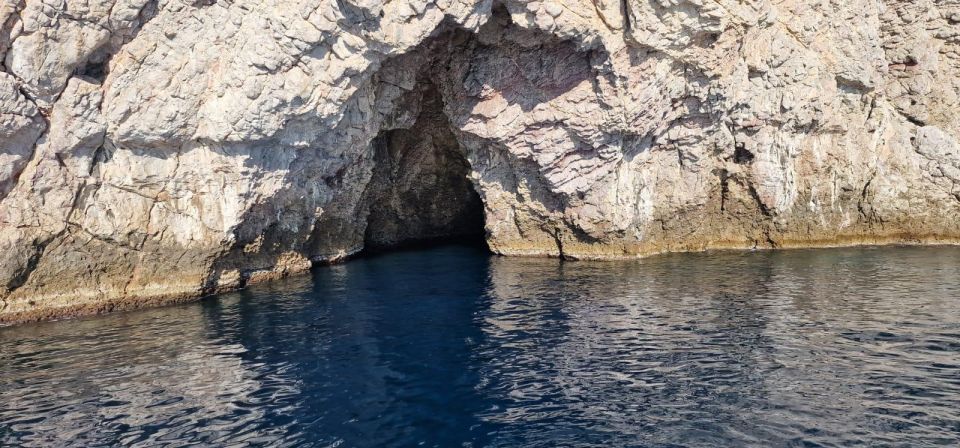 Taormina Coast Tour and Searching Dolphins - Highlights of the Journey