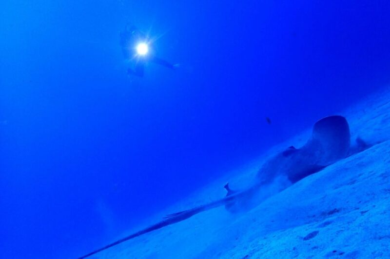 Tenerife: Pack of 2 Private Dives for Experienced Divers - Booking Information