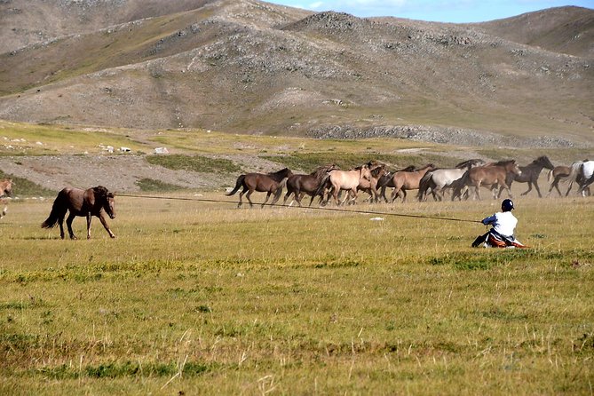 Terelj National Park and Chinggis Khaan Statue Tour - Itinerary Highlights