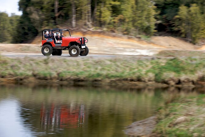 The Adrenaline Overdose at Off Road NZ - High-Speed Karting Details