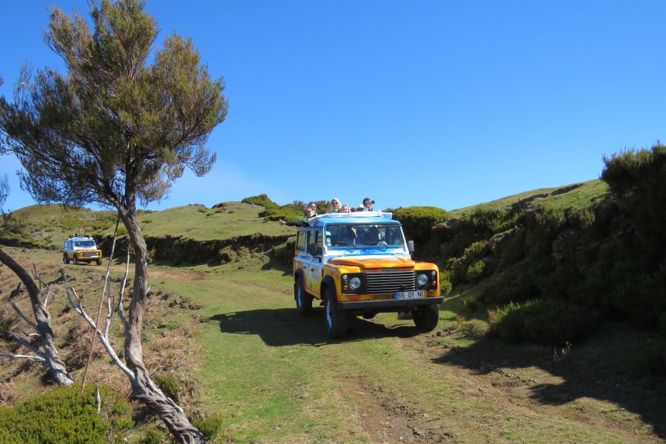 The BEST Madeira Tours and Things to Do - Unique Experiences