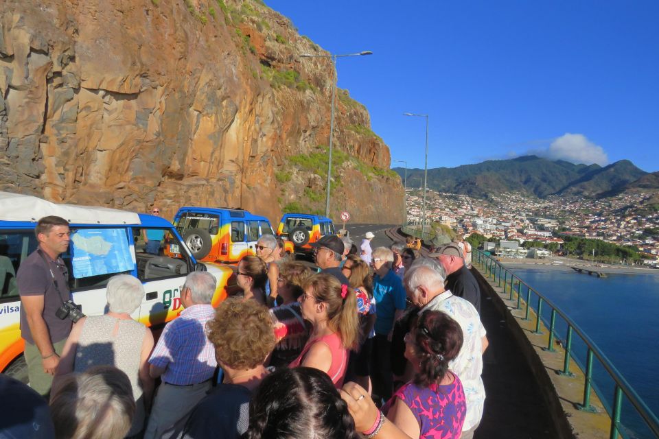 The BEST Madeira Tours and Things to Do - Exciting Whale and Dolphin Tours