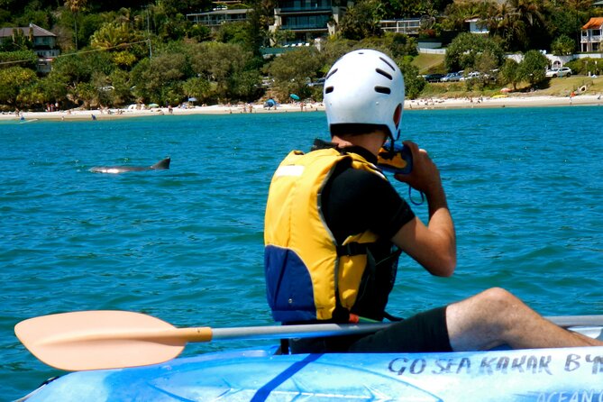 The Byron Bay Sea Kayak Tour - Wildlife Encounters