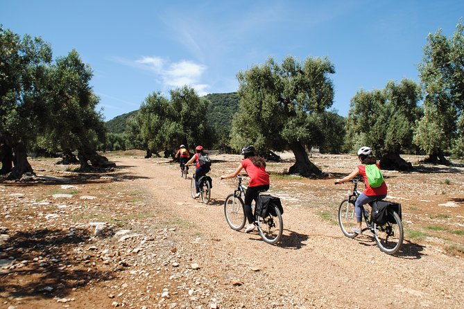 The Millennials Bike Tour - Meeting and End Points