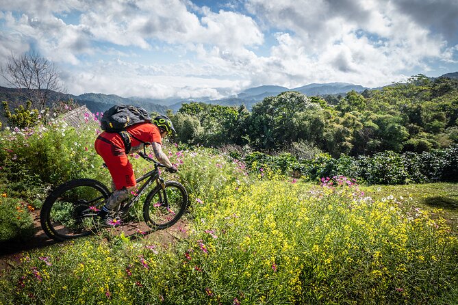 Thriller Trail Mountain Biking Tour From Chiang Mai - Trail Features and Highlights