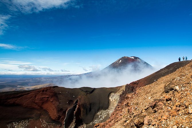 Tongariro Alpine Crossing Ketetahi Shuttle - Shuttle Service Details