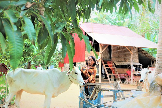 Tonle Sap Lake - Fishing Village & Flooded Forest - Unique Features of Fishing Villages
