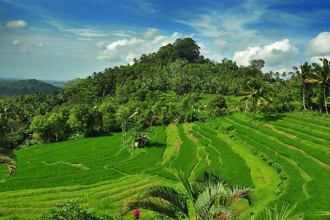 Tour: Besakih Temple-Kintamani Volcano-Water Temple&Rice Terrace - Private Transfers and Transportation