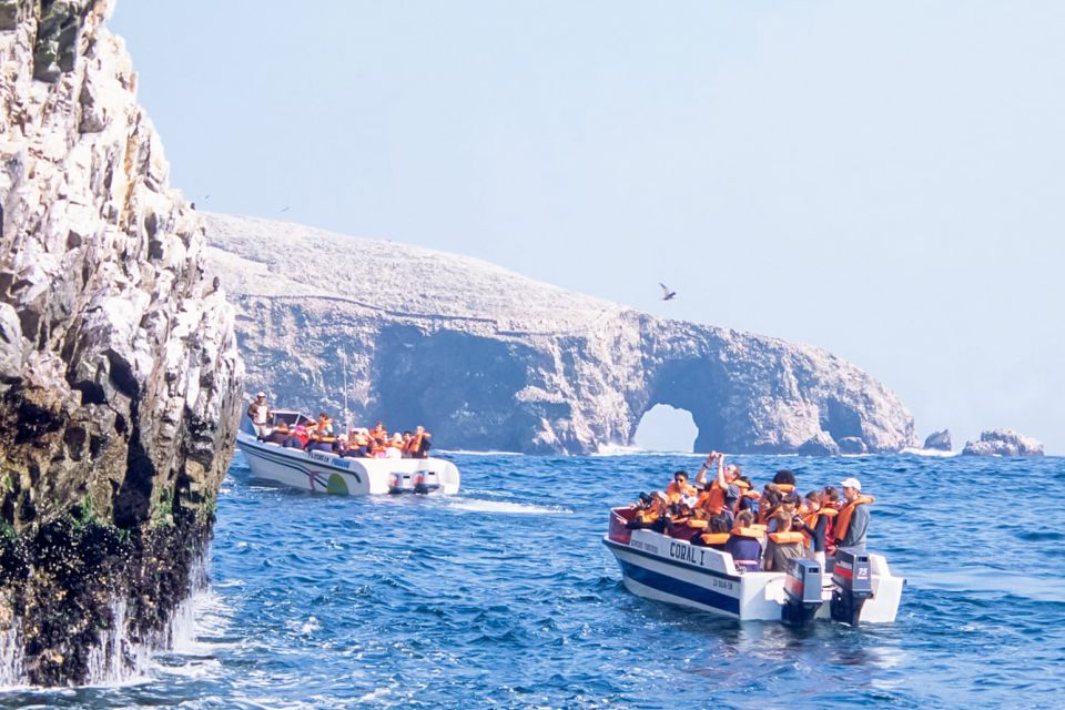 Tour to Palomino Islands - Unique Wildlife Experiences