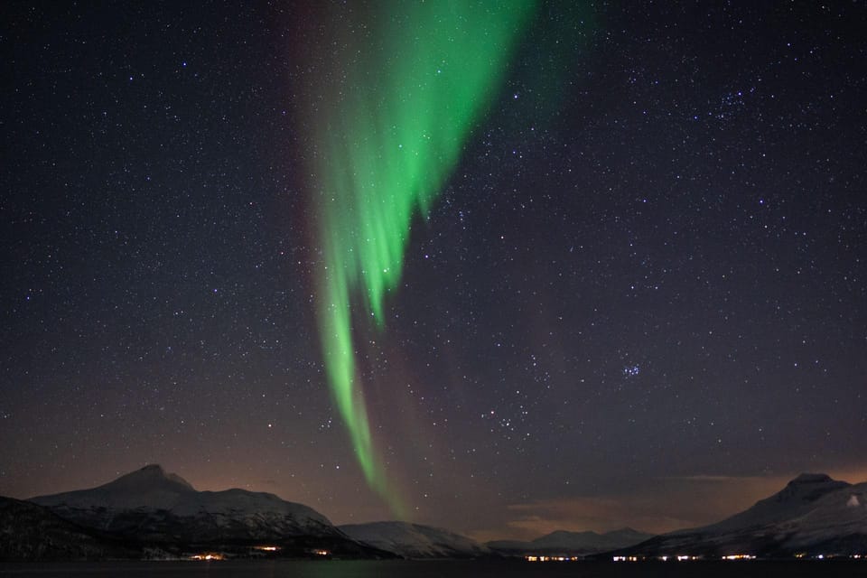 Tromsø: Northern Light Tour With Campfire and Hotel Transfer - Pricing Details