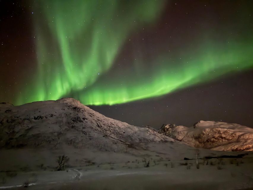 Tromsø: Northern Lights Tour With Hot Food and Drinks - Pricing and Duration