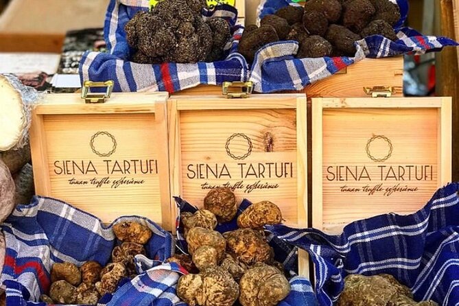 Truffle Hunting Experience Siena Tartufi - What to Expect During the Hunt