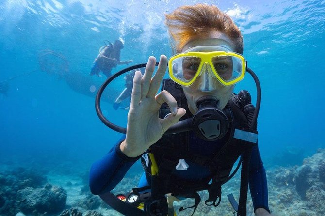 Tulamben Diving Tour Shipwreck USS Bali - Inclusions and Amenities