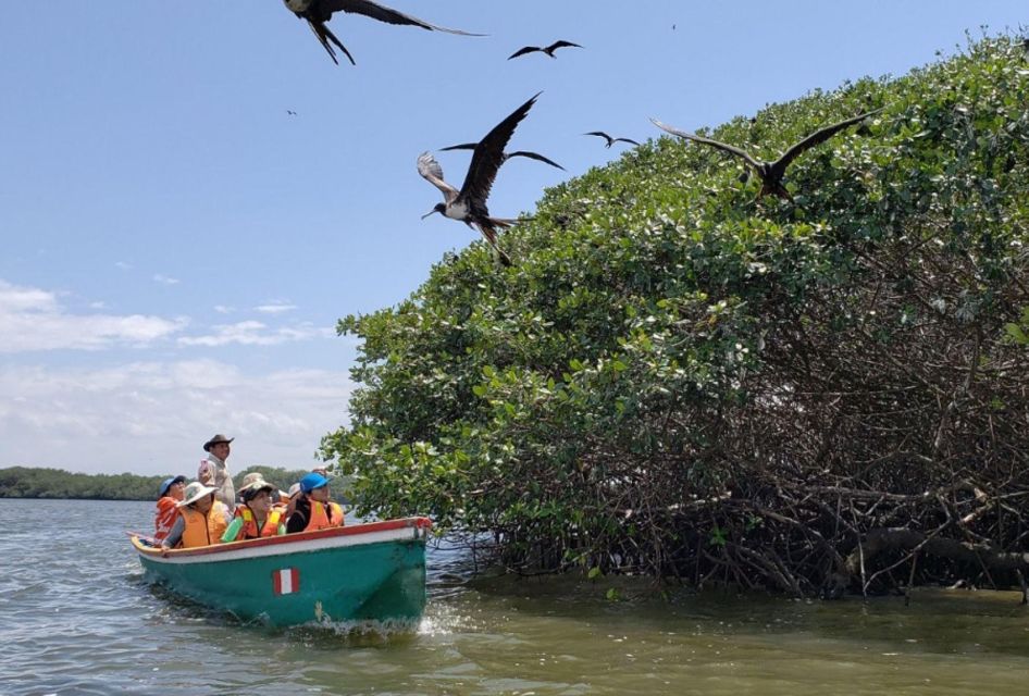 Tumbes: Mangrove National Sanctuary - Tour Pricing and Duration