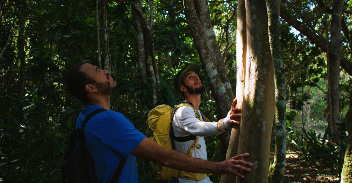 Ubatuba - 7 Beaches Trail - Unique Features of the Experience