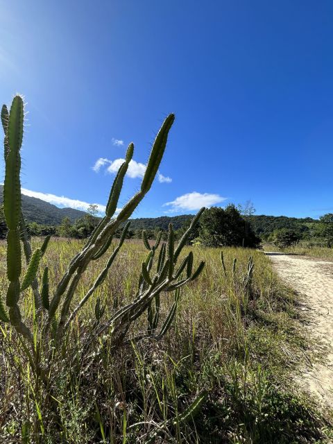 Ubatuba - Circuit Trail Beach of the Lagoon - What to Expect on the Tour