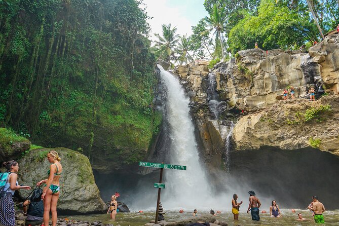 Ubud Experience | Full Day Private Tour in Ubud | FREE WIFI - Pickup Locations