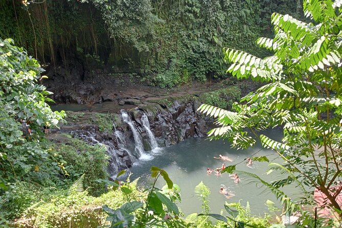 Ubud Tamansari Natural Pool Bali Swing Private Guided Tour - Transportation and Pickup Options