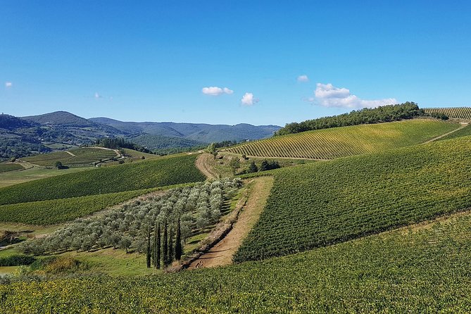 Ultimate Tuscany Bike Tour - Cycling Routes and Itineraries