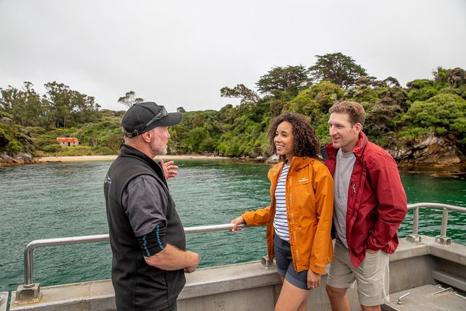 Ulva Island Explorer From Stewart Island - Cruise Experience