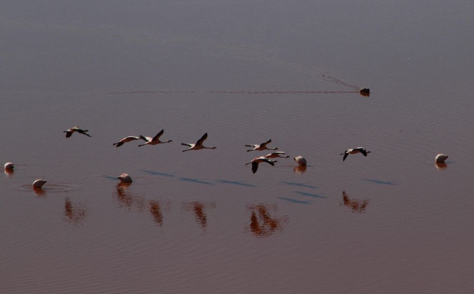Uyuni Salt Flat Private Tour From Chile in Hostels - Accommodation Details