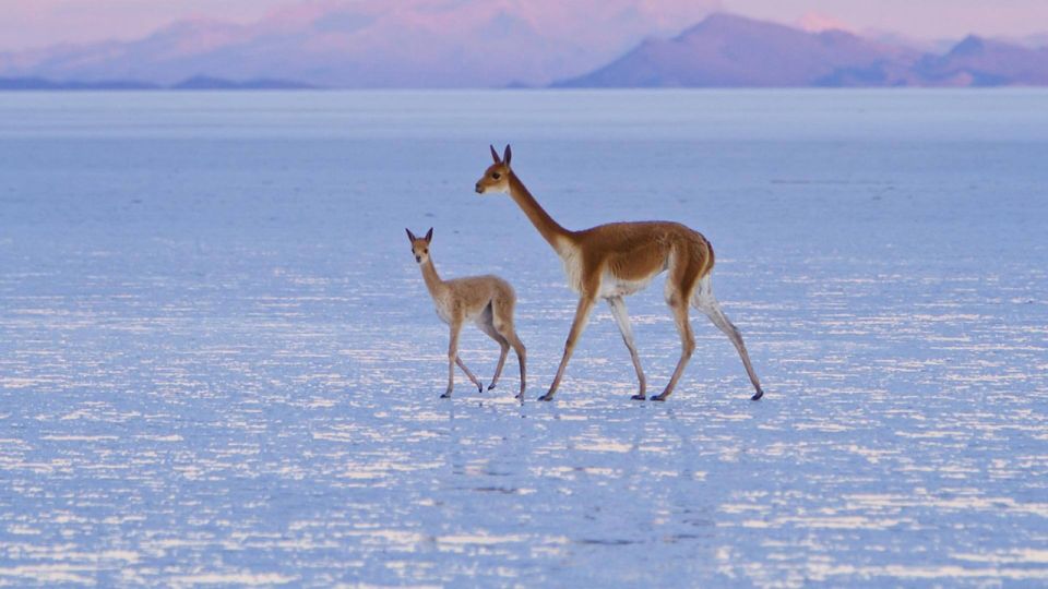 Uyuni Salt Flats 2-Day Tour From La Paz by Flight - Itinerary for Day 1