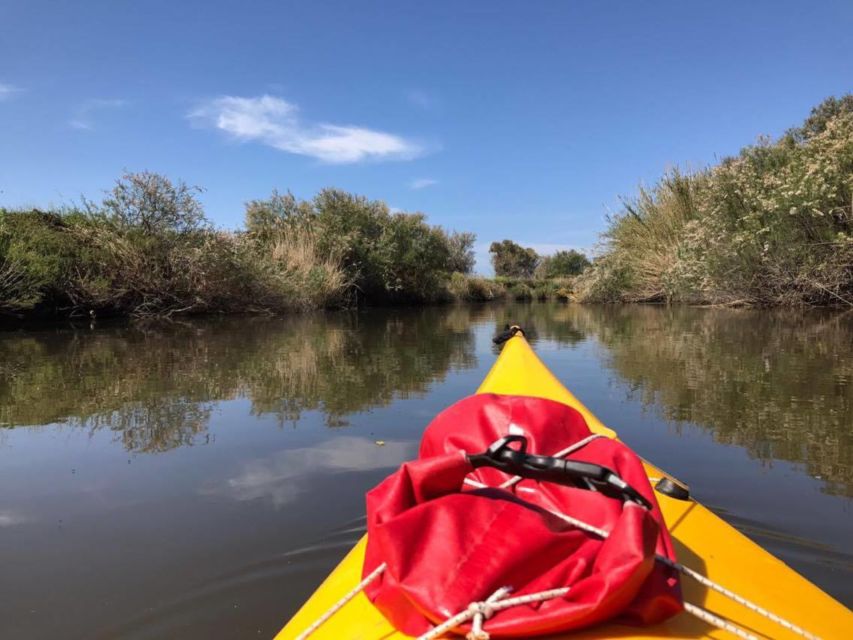 Valledoria: Coghinas River Kayak Rental - Scenic Route Description