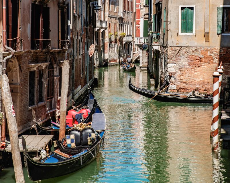 Venice: Murano, Burano and Torcello Hop-On Hop-Off Boat Tour - Highlights of the Experience