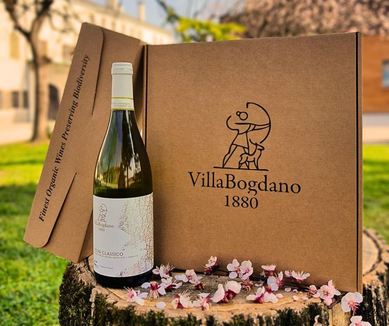 Villa Bogdano 1880: Guided Winery Tour and Tasting - Location and Accessibility