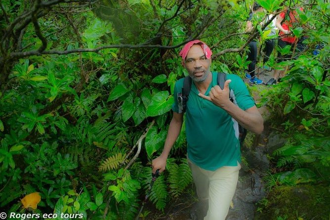 Volcano Caldera (Mt. Liamuiga) Trek - Reviews and Traveler Experiences