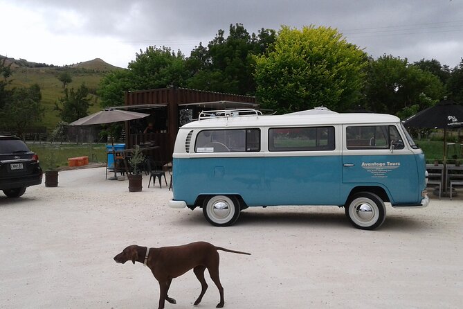 VW Kombi Napier/Hawkes Bay Scenic & Art Deco Tour - Whats Included in the Tour