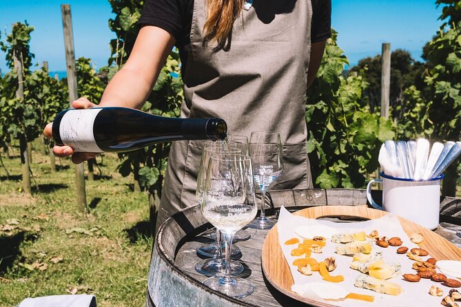 Waiheke Island Gourmet Food and Wine Tour - Vineyard Experience