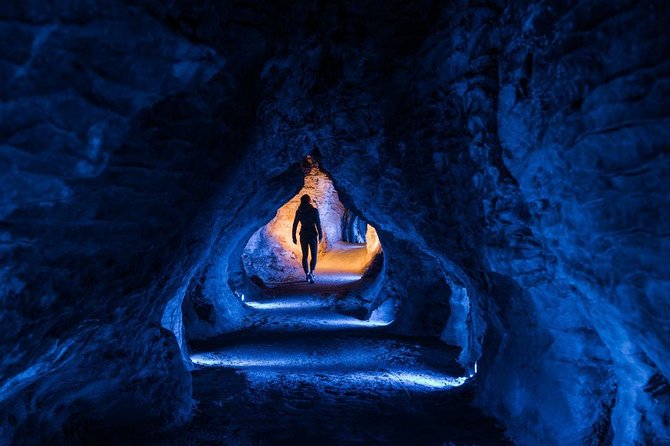 Waitomo Caves Private Tour From Auckland - Itinerary Details