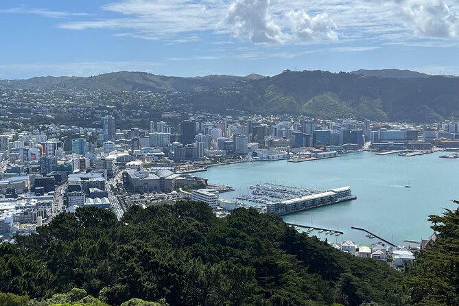 Wellington Full Day Private Tour in Electric Tesla SUV - Pickup Locations and Timing